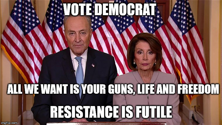 VOTE DEMOCRAT; ALL WE WANT IS YOUR GUNS, LIFE AND FREEDOM; RESISTANCE IS FUTILE | image tagged in democrat,chuck schumer,nancy pelosi | made w/ Imgflip meme maker