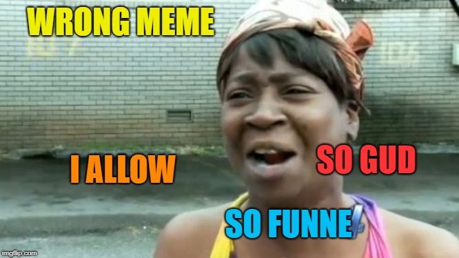 Ain't Nobody Got Time For That Meme | WRONG MEME SO GUD I ALLOW SO FUNNE | image tagged in memes,aint nobody got time for that | made w/ Imgflip meme maker