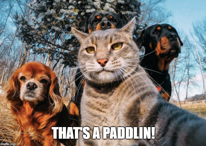 THAT'S A PADDLIN! | made w/ Imgflip meme maker