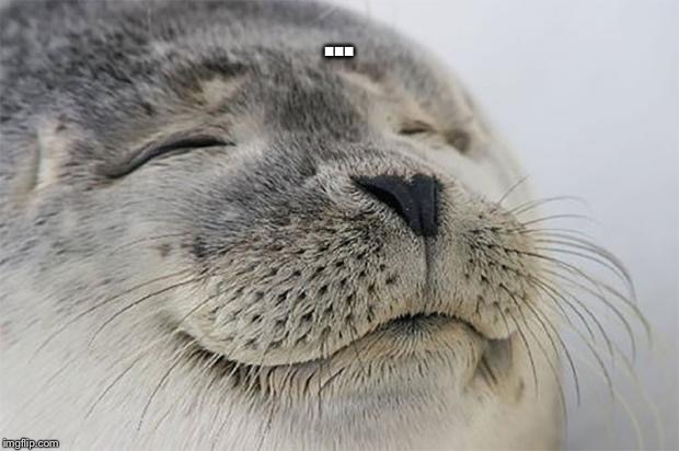 Satisfied Seal Meme | ... | image tagged in memes,satisfied seal | made w/ Imgflip meme maker