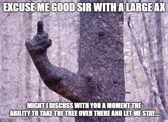 Tree needs a minute | EXCUSE ME GOOD SIR WITH A LARGE AX; MIGHT I DISCUSS WITH YOU A MOMENT THE ABILITY TO TAKE THE TREE OVER THERE AND LET ME STAY.... | image tagged in tree,funny,clean | made w/ Imgflip meme maker