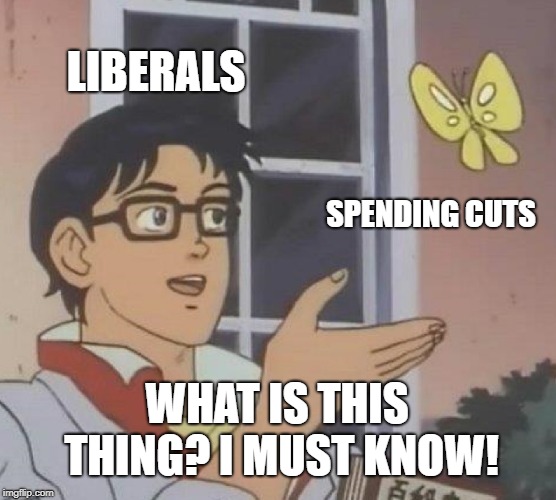 Why is spending cut? | LIBERALS; SPENDING CUTS; WHAT IS THIS THING? I MUST KNOW! | image tagged in memes,is this a pigeon,liberals,spending,government | made w/ Imgflip meme maker