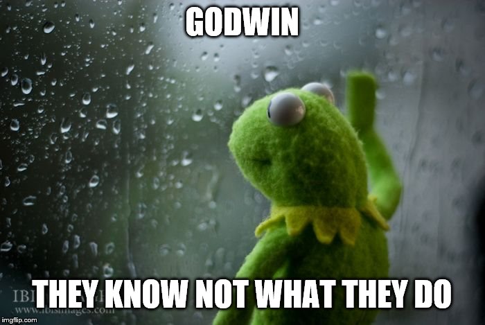 kermit window | GODWIN THEY KNOW NOT WHAT THEY DO | image tagged in kermit window | made w/ Imgflip meme maker