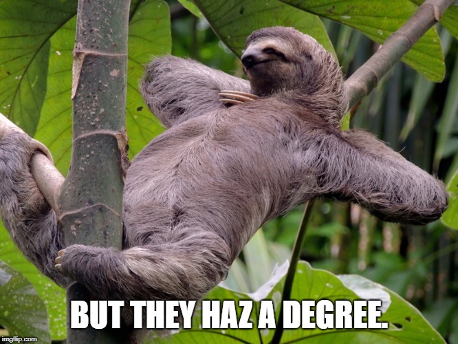 Lazy Sloth | BUT THEY HAZ A DEGREE. | image tagged in lazy sloth | made w/ Imgflip meme maker