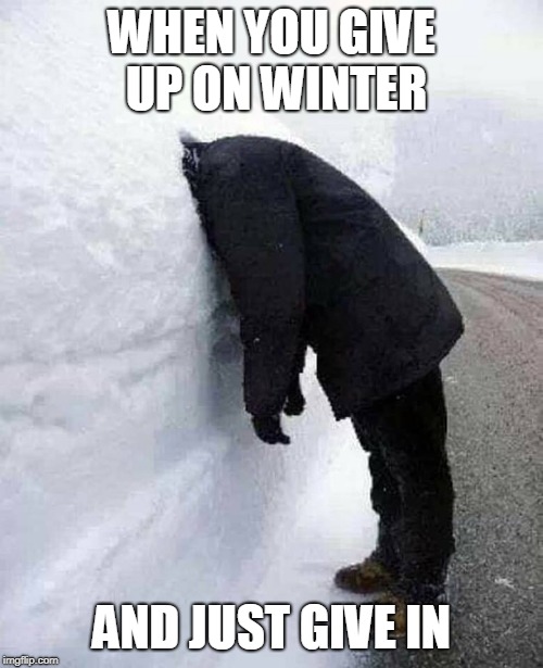 TOO MUCH SNOW | WHEN YOU GIVE UP ON WINTER; AND JUST GIVE IN | image tagged in head in the snow,snow,winter,snow storm,give up | made w/ Imgflip meme maker