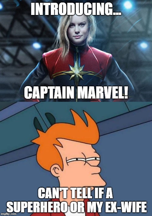 Go With The Later | INTRODUCING... CAPTAIN MARVEL! CAN'T TELL IF A SUPERHERO OR MY EX-WIFE | image tagged in memes,futurama fry,captain marvel | made w/ Imgflip meme maker
