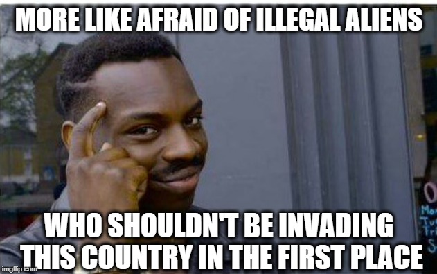 Logic thinker | MORE LIKE AFRAID OF ILLEGAL ALIENS WHO SHOULDN'T BE INVADING THIS COUNTRY IN THE FIRST PLACE | image tagged in logic thinker | made w/ Imgflip meme maker