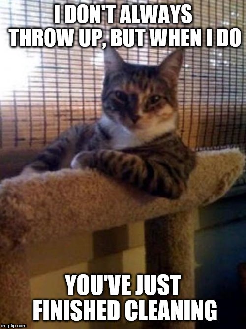 "It was the dog!" | I DON'T ALWAYS THROW UP, BUT WHEN I DO; YOU'VE JUST FINISHED CLEANING | image tagged in memes,the most interesting cat in the world | made w/ Imgflip meme maker