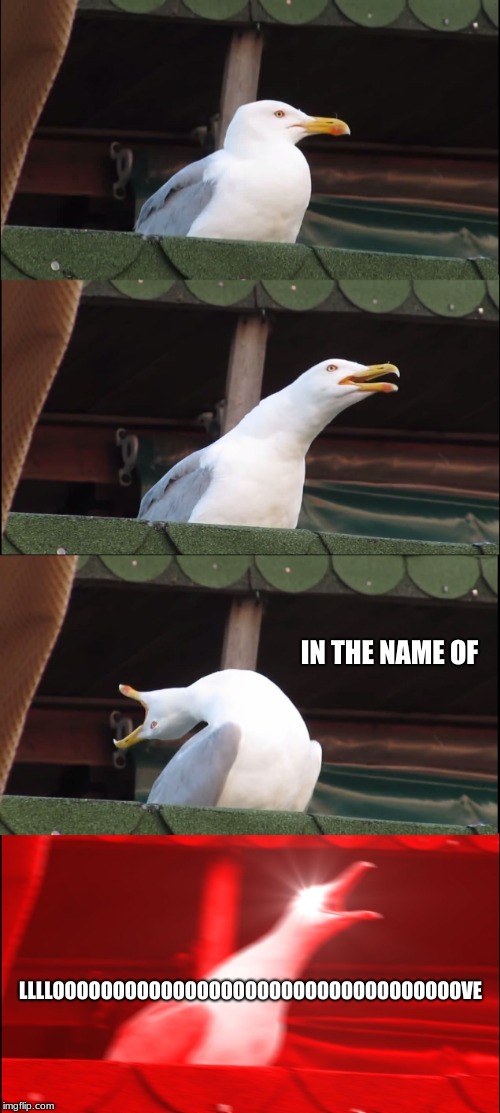 Inhaling Seagull Meme | IN THE NAME OF; LLLLOOOOOOOOOOOOOOOOOOOOOOOOOOOOOOOOOOVE | image tagged in memes,inhaling seagull | made w/ Imgflip meme maker