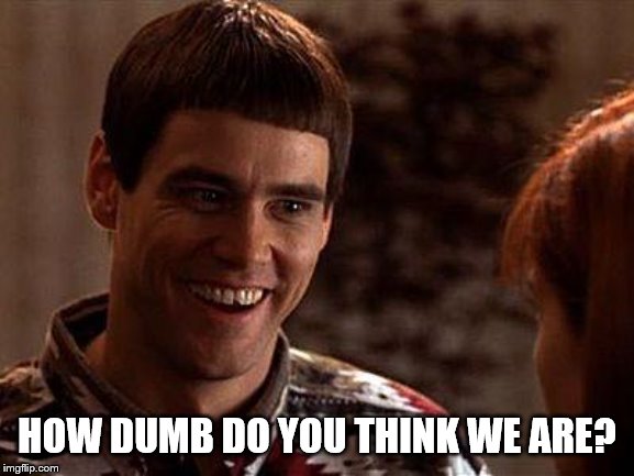 Dumb And Dumber | HOW DUMB DO YOU THINK WE ARE? | image tagged in dumb and dumber | made w/ Imgflip meme maker
