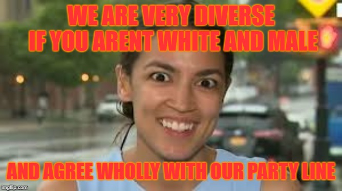 WE ARE VERY DIVERSE IF YOU ARENT WHITE AND MALE AND AGREE WHOLLY WITH OUR PARTY LINE | made w/ Imgflip meme maker