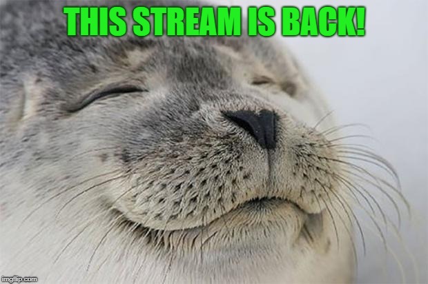 Satisfied Seal Meme | THIS STREAM IS BACK! | image tagged in memes,satisfied seal | made w/ Imgflip meme maker