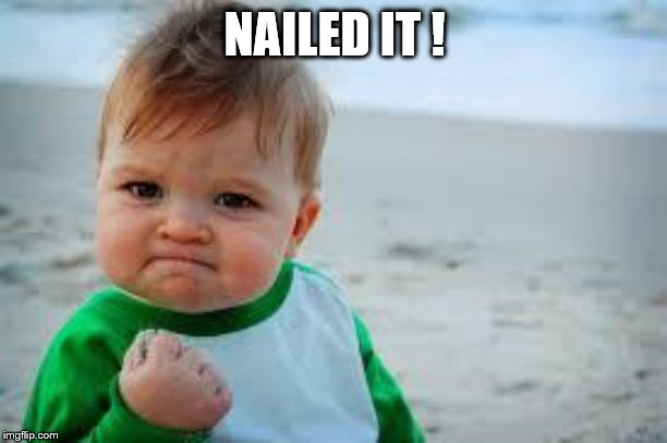 NAILED IT ! | image tagged in winning | made w/ Imgflip meme maker
