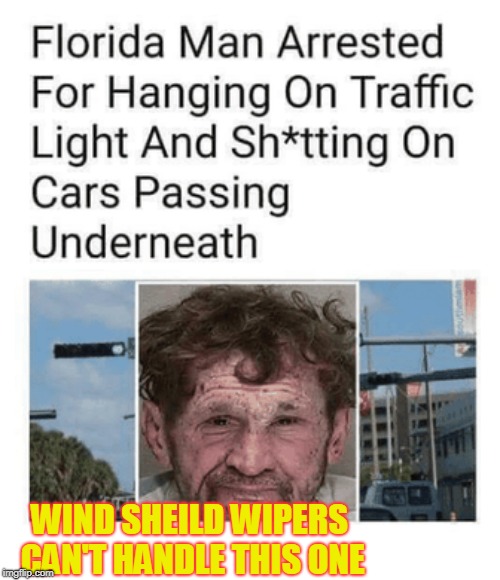 Must have had some serious taco bell | WIND SHEILD WIPERS CAN'T HANDLE THIS ONE | image tagged in florida man | made w/ Imgflip meme maker