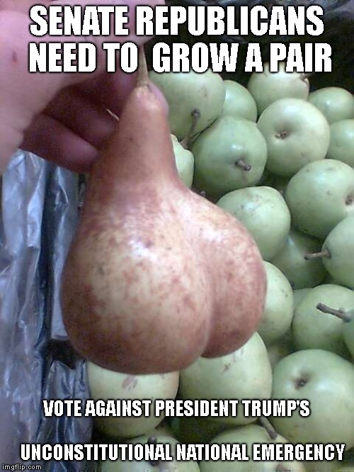 A Pear Tree Tries To Help  | SENATE REPUBLICANS NEED TO  GROW A PAIR; VOTE AGAINST PRESIDENT TRUMP'S     
                           UNCONSTITUTIONAL NATIONAL EMERGENCY | image tagged in fake national emergency,unconstitutional,trump impeachment | made w/ Imgflip meme maker