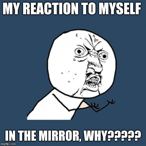 Y U No Meme | MY REACTION TO MYSELF; IN THE MIRROR, WHY????? | image tagged in memes,y u no | made w/ Imgflip meme maker