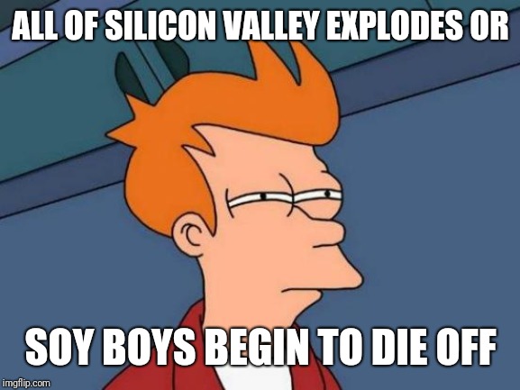 Futurama Fry Meme | ALL OF SILICON VALLEY EXPLODES OR SOY BOYS BEGIN TO DIE OFF | image tagged in memes,futurama fry | made w/ Imgflip meme maker