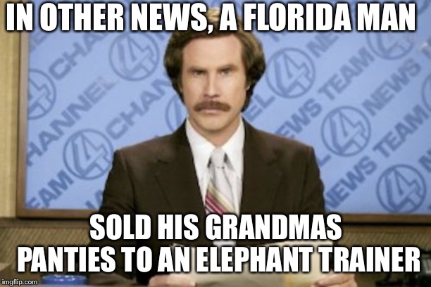 Ron Burgundy Meme | IN OTHER NEWS, A FLORIDA MAN; SOLD HIS GRANDMAS PANTIES TO AN ELEPHANT TRAINER | image tagged in memes,ron burgundy | made w/ Imgflip meme maker