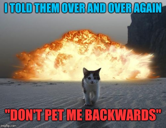 If there's anything that a kitty hates... | I TOLD THEM OVER AND OVER AGAIN; "DON'T PET ME BACKWARDS" | image tagged in cat explosion,evil cat,memes,cats,mission accomplished,we don't do that here | made w/ Imgflip meme maker