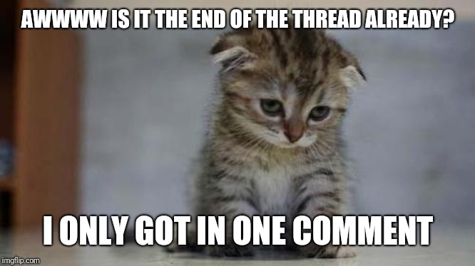 Sad kitten | AWWWW IS IT THE END OF THE THREAD ALREADY? I ONLY GOT IN ONE COMMENT | image tagged in sad kitten | made w/ Imgflip meme maker