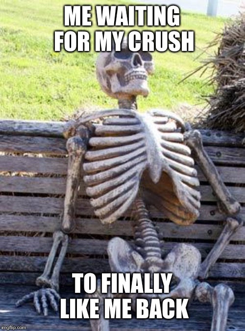 Waiting Skeleton | ME WAITING FOR MY CRUSH; TO FINALLY LIKE ME BACK | image tagged in memes,waiting skeleton | made w/ Imgflip meme maker