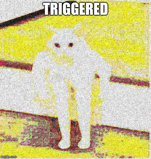 TRIGGERED | image tagged in roblox triggered | made w/ Imgflip meme maker