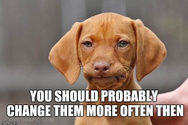 Umm dog | YOU SHOULD PROBABLY CHANGE THEM MORE OFTEN THEN | image tagged in umm dog | made w/ Imgflip meme maker
