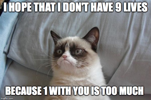 Grumpy Cat Bed |  I HOPE THAT I DON'T HAVE 9 LIVES; BECAUSE 1 WITH YOU IS TOO MUCH | image tagged in memes,grumpy cat bed,grumpy cat,funny,life | made w/ Imgflip meme maker