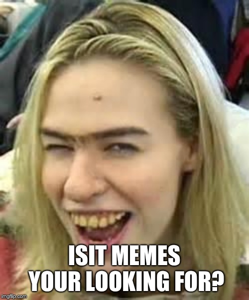 ugly girl | ISIT MEMES YOUR LOOKING FOR? | image tagged in ugly girl | made w/ Imgflip meme maker