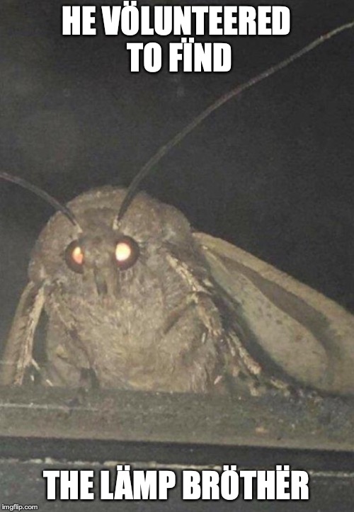 Moth | HE VÖLUNTEERED TO FÏND THE LÄMP BRÖTHËR | image tagged in moth | made w/ Imgflip meme maker