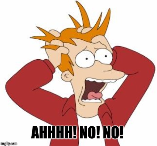Fry Freaking Out | AHHHH! NO! NO! | image tagged in fry freaking out | made w/ Imgflip meme maker