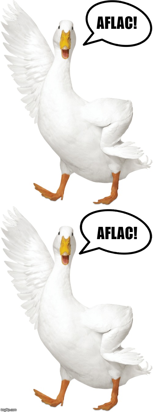 Admit it,  you read that in your head in the commercial duck's voice AT LEAST ONCE! | AFLAC! AFLAC! | image tagged in aflac,commercial duck,funny,lol | made w/ Imgflip meme maker