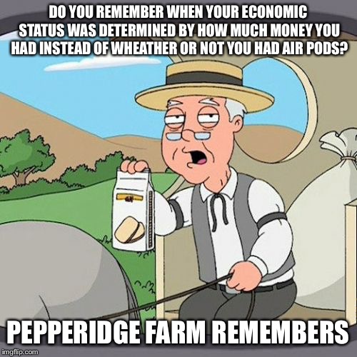 Pepperidge Farm Remembers Meme | DO YOU REMEMBER WHEN YOUR ECONOMIC STATUS WAS DETERMINED BY HOW MUCH MONEY YOU HAD INSTEAD OF WHEATHER OR NOT YOU HAD AIR PODS? PEPPERIDGE FARM REMEMBERS | image tagged in memes,pepperidge farm remembers | made w/ Imgflip meme maker