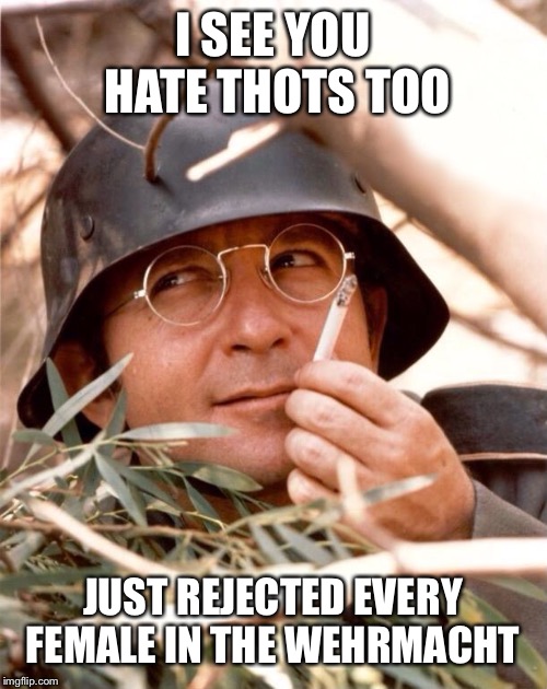 Wolfgang the German soldier | I SEE YOU HATE THOTS TOO JUST REJECTED EVERY FEMALE IN THE WEHRMACHT | image tagged in wolfgang the german soldier | made w/ Imgflip meme maker