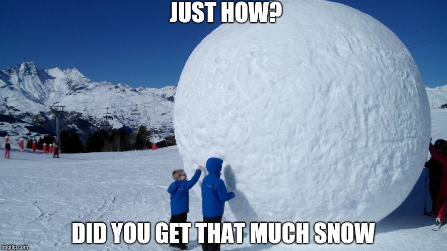 Snowball | JUST HOW? DID YOU GET THAT MUCH SNOW | image tagged in snowball | made w/ Imgflip meme maker