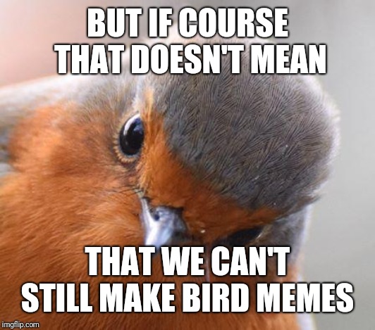 Bird Look | BUT IF COURSE THAT DOESN'T MEAN THAT WE CAN'T STILL MAKE BIRD MEMES | image tagged in bird look | made w/ Imgflip meme maker