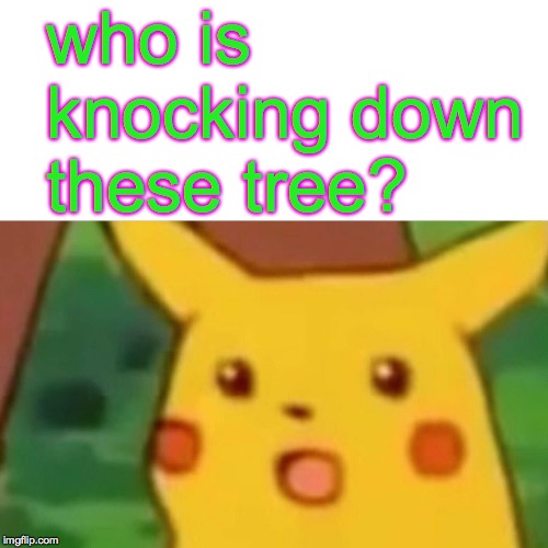 Surprised Pikachu Meme | who is knocking down these tree? | image tagged in memes,surprised pikachu | made w/ Imgflip meme maker