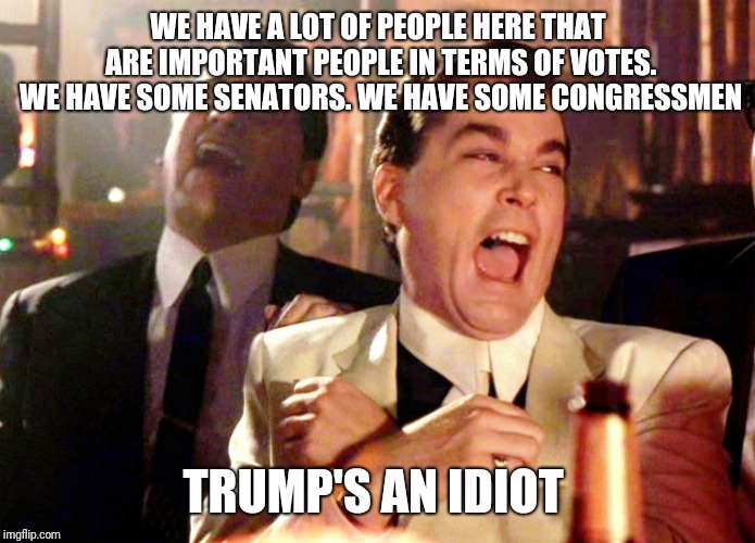 Good Fellas Hilarious | WE HAVE A LOT OF PEOPLE HERE THAT ARE IMPORTANT PEOPLE IN TERMS OF VOTES. WE HAVE SOME SENATORS. WE HAVE SOME CONGRESSMEN; TRUMP'S AN IDIOT | image tagged in memes,good fellas hilarious | made w/ Imgflip meme maker