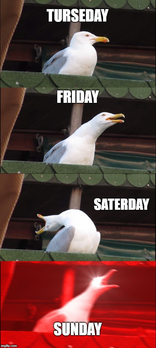 Inhaling Seagull | TURSEDAY; FRIDAY; SATERDAY; SUNDAY | image tagged in memes,inhaling seagull | made w/ Imgflip meme maker