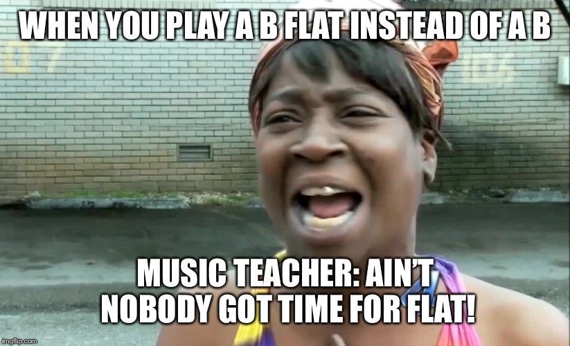 Ain’t nobody got time for that! | WHEN YOU PLAY A B FLAT INSTEAD OF A B; MUSIC TEACHER: AIN’T NOBODY GOT TIME FOR FLAT! | image tagged in aint nobody got time for that | made w/ Imgflip meme maker