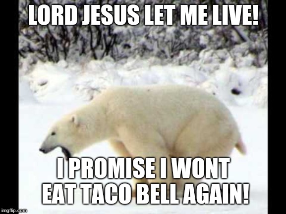 LORD JESUS LET ME LIVE! I PROMISE I WONT EAT TACO BELL AGAIN! | image tagged in poop,bear,polar bear,tacos,taco bell,pooping | made w/ Imgflip meme maker