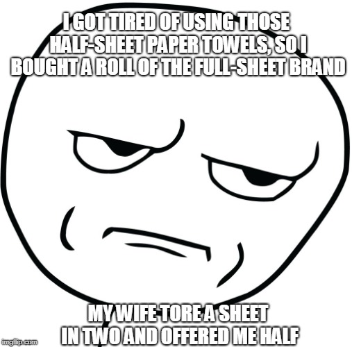 Seriously  | I GOT TIRED OF USING THOSE HALF-SHEET PAPER TOWELS, SO I BOUGHT A ROLL OF THE FULL-SHEET BRAND; MY WIFE TORE A SHEET IN TWO AND OFFERED ME HALF | image tagged in seriously | made w/ Imgflip meme maker
