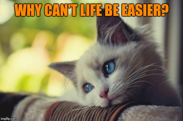 Sad cat | WHY CAN'T LIFE BE EASIER? | image tagged in sad cat | made w/ Imgflip meme maker