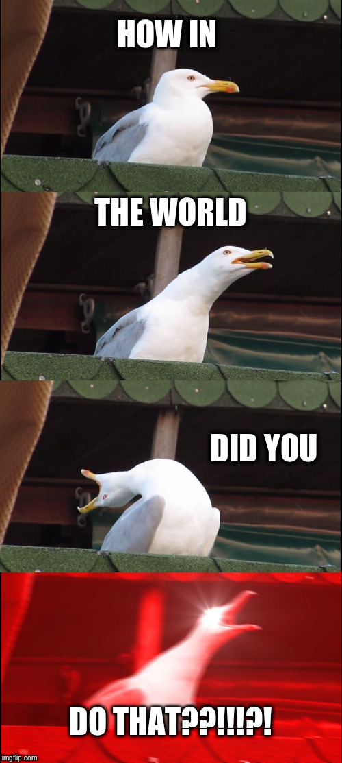 Inhaling Seagull Meme | HOW IN; THE WORLD; DID YOU; DO THAT??!!!?! | image tagged in memes,inhaling seagull | made w/ Imgflip meme maker