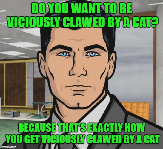Archer Meme | DO YOU WANT TO BE VICIOUSLY CLAWED BY A CAT? BECAUSE THAT'S EXACTLY HOW YOU GET VICIOUSLY CLAWED BY A CAT | image tagged in memes,archer | made w/ Imgflip meme maker