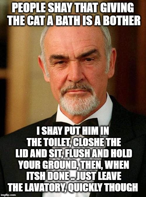Jusht Leave Quickly ey?  | PEOPLE SHAY THAT GIVING THE CAT A BATH IS A BOTHER; I SHAY PUT HIM IN THE TOILET, CLOSHE THE LID AND SIT, FLUSH AND HOLD YOUR GROUND, THEN, WHEN ITSH DONE .. JUST LEAVE THE LAVATORY, QUICKLY THOUGH | image tagged in sean connery,funny,funny memes,cat,fun | made w/ Imgflip meme maker