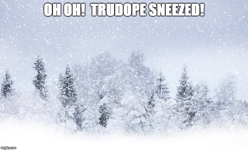 OH OH!  TRUDOPE SNEEZED! | image tagged in liberals | made w/ Imgflip meme maker