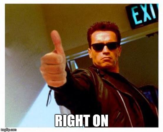 terminator thumbs up | RIGHT ON | image tagged in terminator thumbs up | made w/ Imgflip meme maker