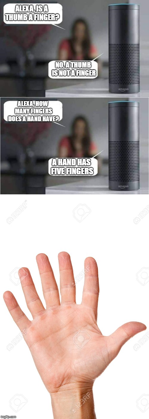 Ask Alexa!  See what it says! |  ALEXA, IS A THUMB A FINGER? NO, A THUMB IS NOT A FINGER; ALEXA, HOW MANY FINGERS DOES A HAND HAVE? A HAND HAS FIVE FINGERS | image tagged in alexa do x,memes | made w/ Imgflip meme maker