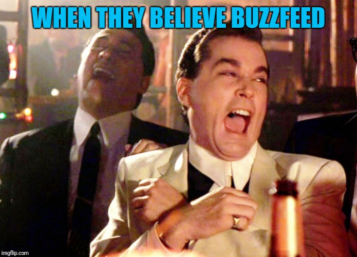Good Fellas Hilarious | WHEN THEY BELIEVE BUZZFEED | image tagged in memes,good fellas hilarious | made w/ Imgflip meme maker